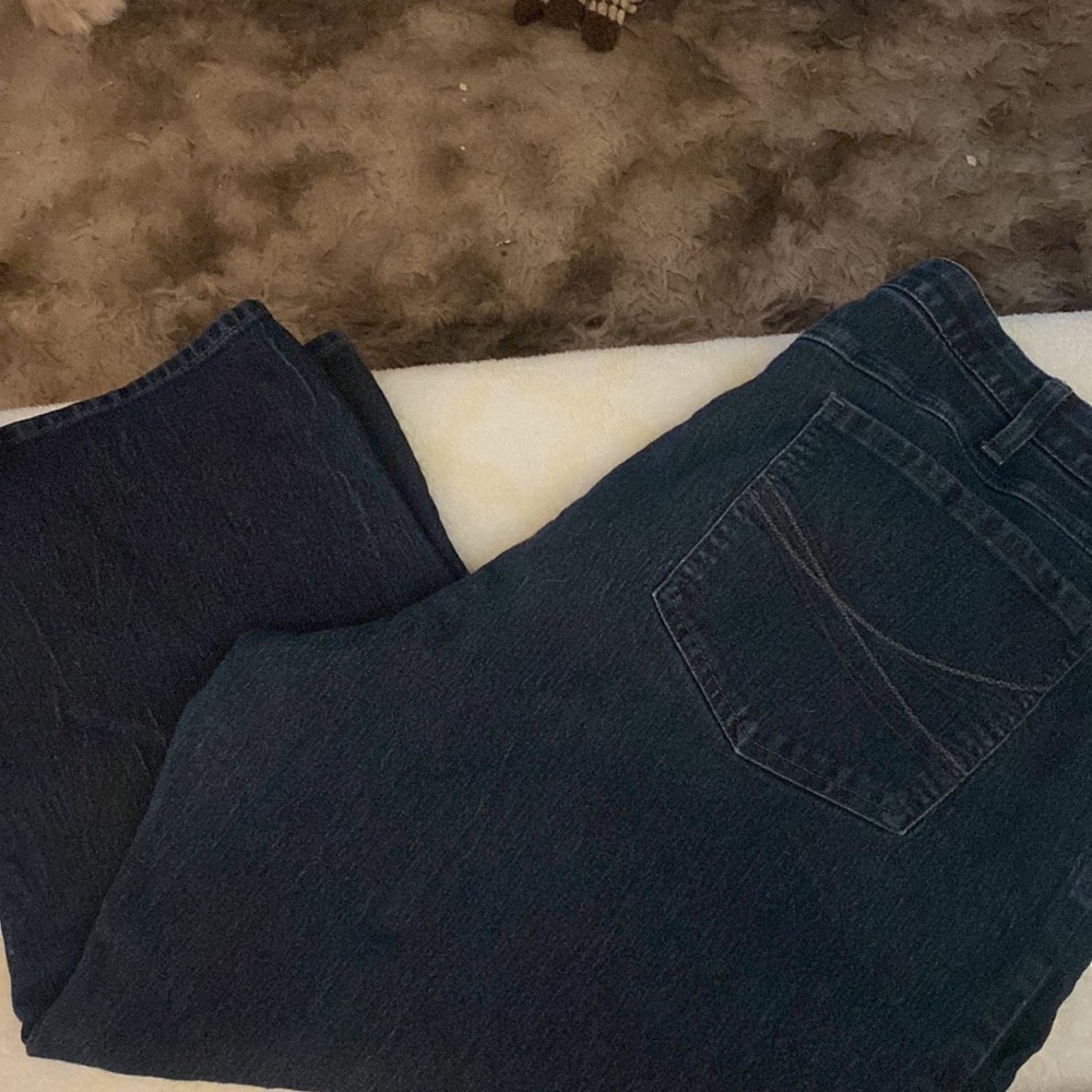 Plus size capris 24w